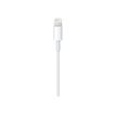 0885909627424-Apple câble Lightning - Lightning / USB - 1 m-Gros plan-2