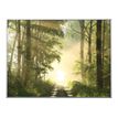 3660141890822-Cadre de décoration plexi/alu - 61 x 81 cm - Forêt-Avant-0