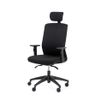 3701338801723-Fauteuil de bureau SCOTTY - accoudoirs réglables - appui-tête réglable - noir--1