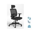 3760388580255-Fauteuil de bureau MALICE avec têtière - accoudoirs réglables - noir--0