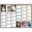 3592930020908-Bouchut Chats - Calendrier bancaire 6 mois par face - 32 x 42 cm--0