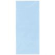 5033601868323-Clairefontaine - 6 feuilles de papier de soie - 50 x 70 cm - bleu ciel--1