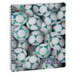 3660942074179-Cahier de textes spiralé Sports - 17 x 22 cm - foot - Exacompta--0