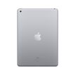 3700892010022-Apple iPad Wi-Fi - 6e gén - tablette 9,7" - 64 Go - gris sidéral--2