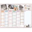 3592930023930-Calendrier Chatons - 6 mois par face - 32 x 42 cm - Bouchut--0