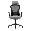 0404051884693-Fauteuil de bureau DESIGNER - Accoudoirs réglables - Appuie-tête - gris et noir--1