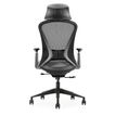 0404051884693-Fauteuil de bureau DESIGNER - Accoudoirs réglables - Appuie-tête - gris et noir--3