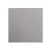 0000000972628-Clairefontaine Maya - Papier à dessin - 50 x 70 cm - 25 feuilles - 270 g/m² - gris-Gros plan-1