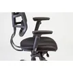 3760185022415-Fauteuil de bureau TECKNET - accoudoirs réglables - appuie-tête réglable - noir--4