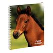 3660942044165-Cahier de textes spiralé Animaux - 17 x 22 cm - disponible dans différentes couleurs - Exacompta--2