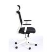 3760185028653-Fauteuil de bureau SCOTT - accoudoirs réglables - appuie-tête réglable - noir base blanche--3