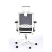 3760185028653-Fauteuil de bureau SCOTT - accoudoirs réglables - appuie-tête réglable - noir base blanche--4