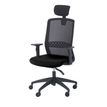 3760185028615-Fauteuil de bureau SCOTT - accoudoirs réglables - appuie-tête réglable - noir--1