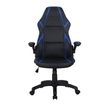 3700339883363-Fauteuil gamer RACER SPEED - accoudoirs rabattables - noir et bleu--2