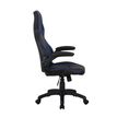 3700339883363-Fauteuil gamer RACER SPEED - accoudoirs rabattables - noir et bleu--3