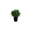 3660141290097-Plante artificielle laurier - hauteur 50 cm--0