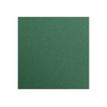 2012349349205-Clairefontaine Maya - Papier à dessin - 50 x 70 cm - 25 feuilles - 270 g/m² - vert antique-Avant-0