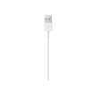 0885909627424-Apple câble Lightning - Lightning / USB - 1 m-Gros plan-3