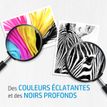 889894419385-HP 62 - Pack de 2 - noir et 3 couleurs - cartouche d'encre originale (N9J71AE)--2