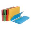 3130630469711-Exacompta Forever - 5 Chemises de poche - A4 - pour 200 feuilles - couleurs assorties-Angle gauche-0