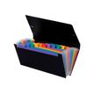 3135251108872-Viquel Rainbow Class - Trieur 12 positions - format chèque-Angle droit-0