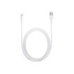 0885909627424-Apple câble Lightning - Lightning / USB - 1 m-Avant-0