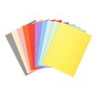 3130634202000-Exacompta Forever 180 - 50 Chemises - 170 gr - pour 200 feuilles - couleurs assorties-Avant-1