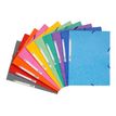 3130630555100-Exacompta Nature Future - 10 Chemises à 3 rabats - A4 - pour 250 feuilles - couleurs vives assort-Avant-2