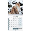 3592930002157-Calendrier illustré BOUCHUT 15 x 15 cm MON CHAT Pefc 70 %--1