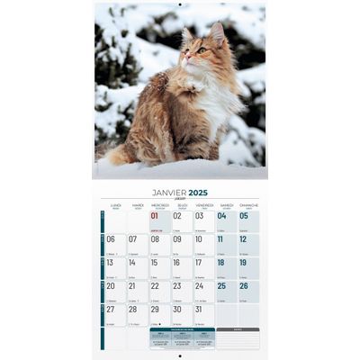 3592930002157-Calendrier illustré BOUCHUT 15 x 15 cm MON CHAT Pefc 70 %--1