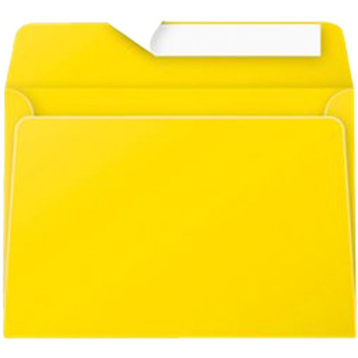 3329680556605-Pollen - 20 Enveloppes - 114 x 162 mm - 120 g/m² - jaune--0