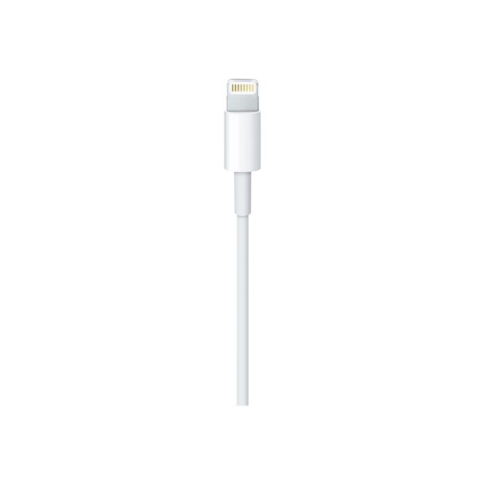 0885909627424-Apple câble Lightning - Lightning / USB - 1 m-Gros plan-2