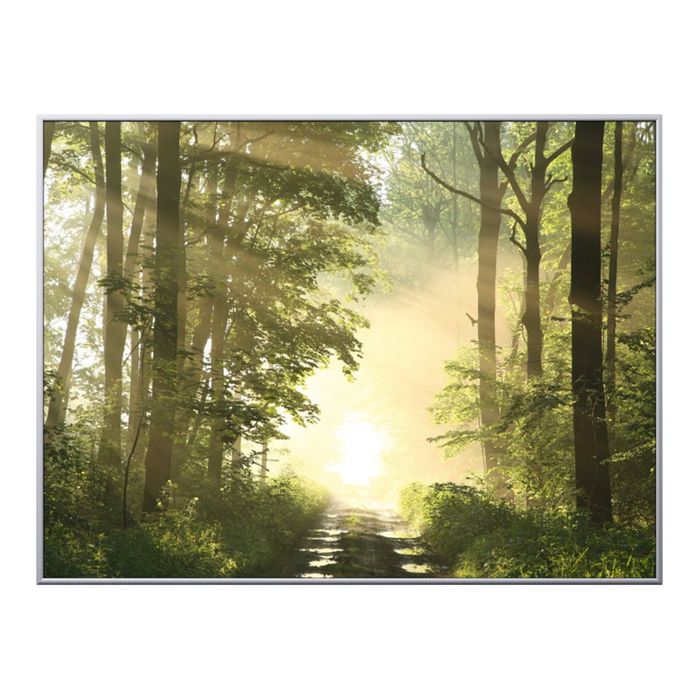 3660141890822-Cadre de décoration plexi/alu - 61 x 81 cm - Forêt-Avant-0