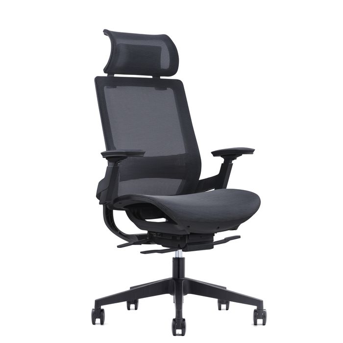 3700339893904-Fauteuil de bureau WALLACE - accoudoirs réglables - appui-tête réglable - noir--2