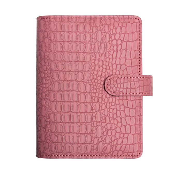 3660942068086-Baby-Croco - Organiseur 16 mois - 11 x 14,5 cm - vieux rose - Exacompta--0