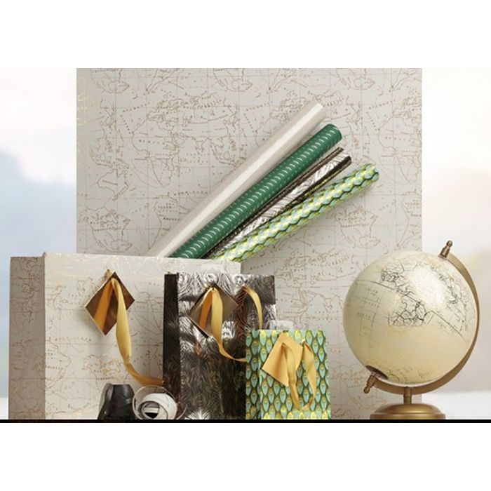 3329682128718-Clairefontaine Premium - Papier cadeau - 70 cm x 2 m - 80 g/m² - collection travel--2