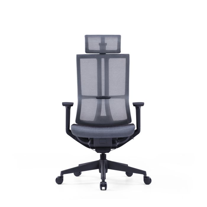 3700339918409-Fauteuil de bureau JAMES - accoudoirs réglables - appuie-tête réglable - noir et gris--1