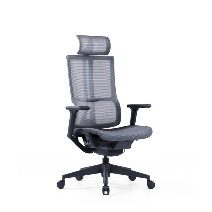 3700339918409-Fauteuil de bureau JAMES - accoudoirs réglables - appuie-tête réglable - noir et gris--2