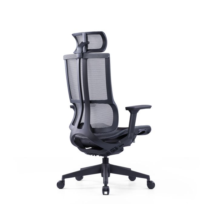 3700339918409-Fauteuil de bureau JAMES - accoudoirs réglables - appuie-tête réglable - noir et gris--4