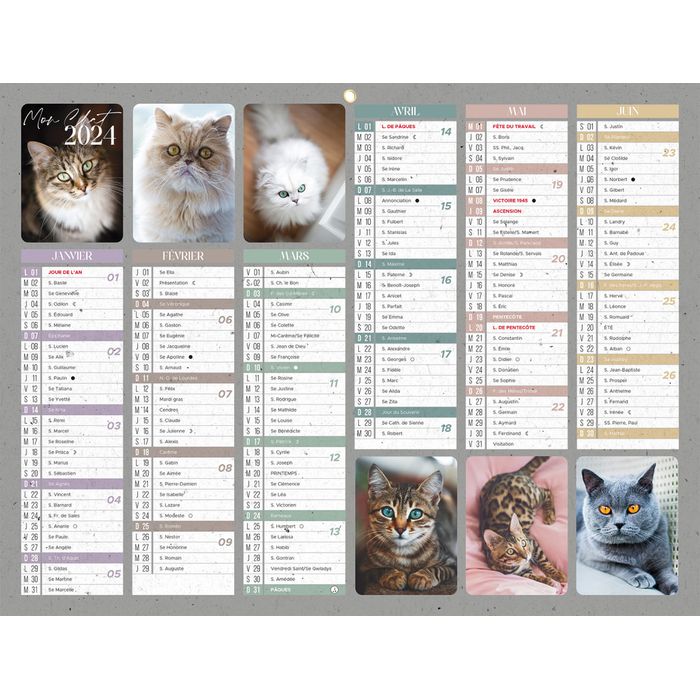 3592930020908-Bouchut Chats - Calendrier bancaire 6 mois par face - 32 x 42 cm--0