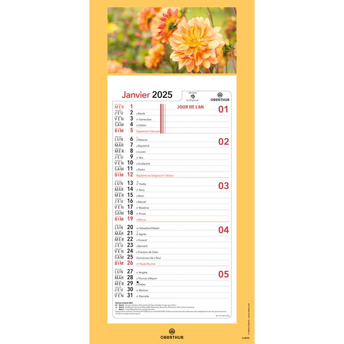 3664447179995-Calendrier mensuel en papier sur plaque illustrée - 16 x 33 cm - différents modèles disponibles - Ob--3