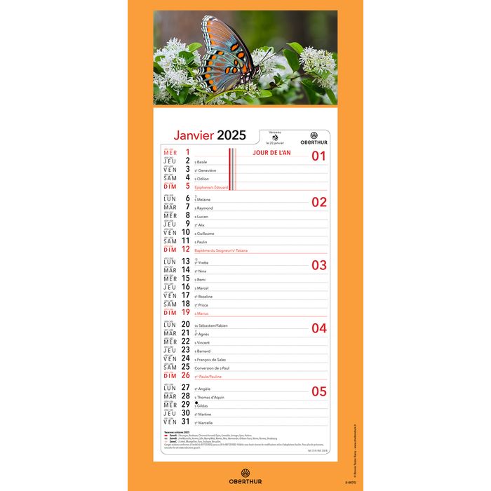 3664447179995-Calendrier mensuel en papier sur plaque illustrée - 16 x 33 cm - différents modèles disponibles - Ob--6