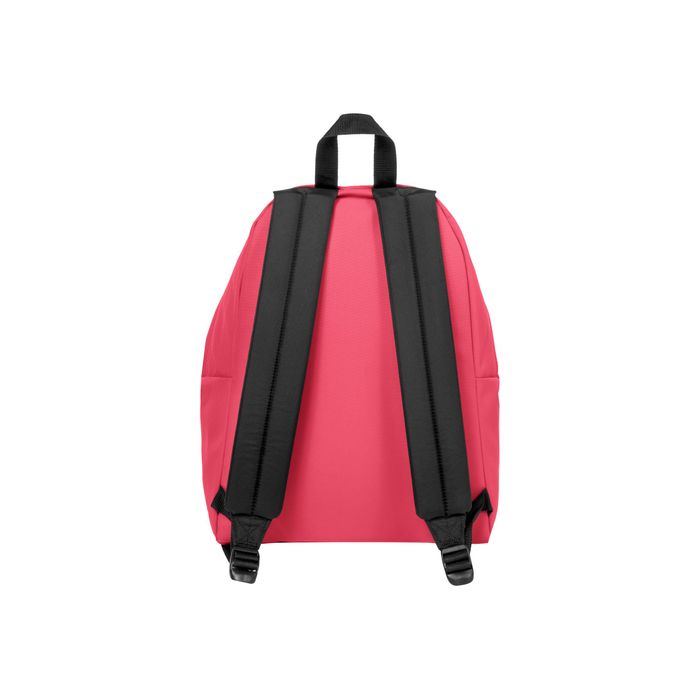 5400552852136-EASTPAK Padded Pak'r - Sac à dos - 40 cm - Wild pink-Arrière-2