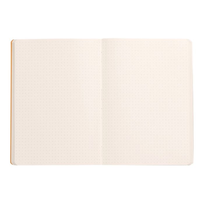 3037921174401-RHODIA Rhodiarama - Carnet souple A5 - 160 pages - pointillés - sauge-Avant-1