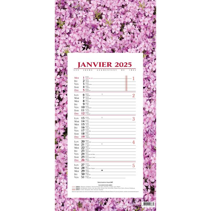 3371017523675-Quo Vadis Fleurs - Calendrier bloc mensuel - 16 x 33,5 cm--0