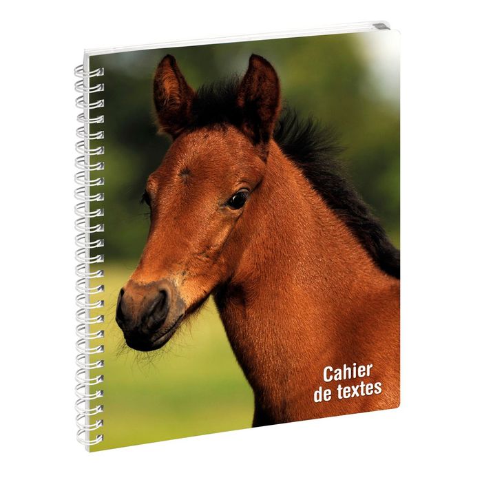 3660942044165-Cahier de textes spiralé Animaux - 17 x 22 cm - disponible dans différentes couleurs - Exacompta--2