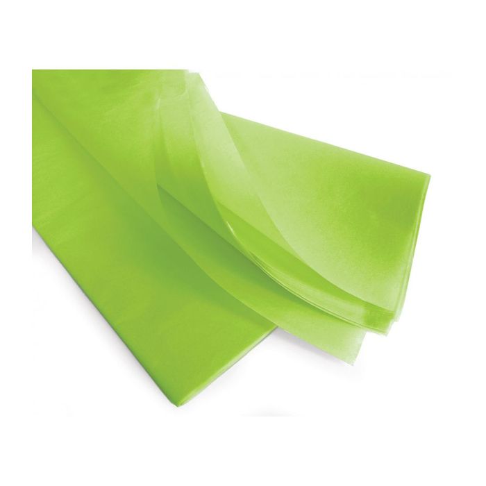 3700395693340-Papier de soie - paquet de 240 feuilles - 50 x 75 cm - vert--0