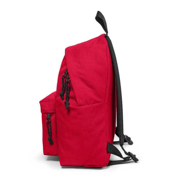 5400879216437-EASTPAK Padded Pak'r - Sac à dos - 40 cm - Sailor red--2