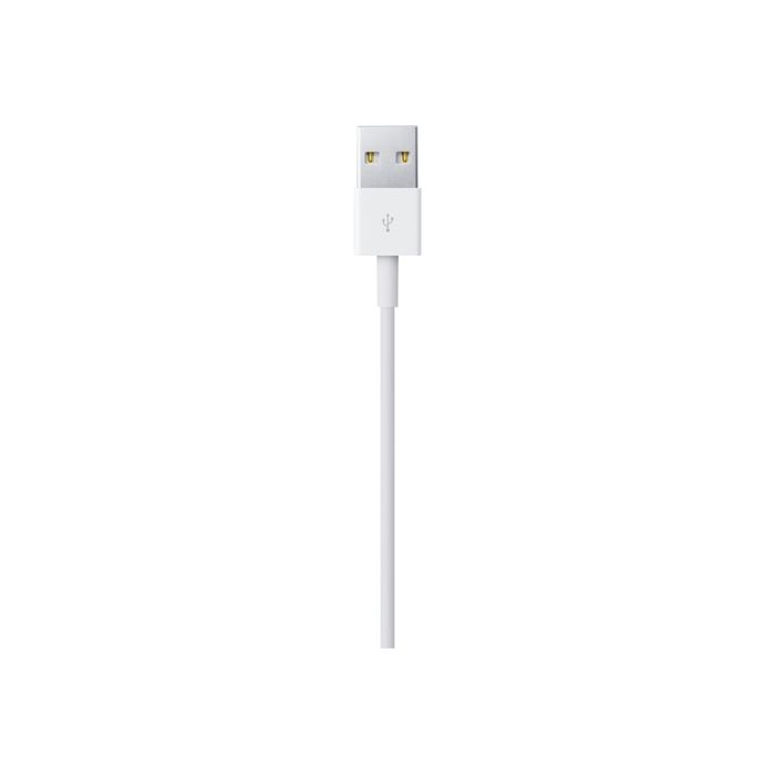 0885909627424-Apple câble Lightning - Lightning / USB - 1 m-Gros plan-3