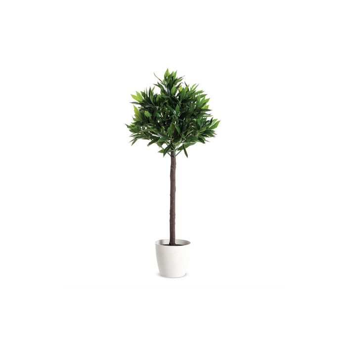 3660141290226-Pot San Remo - diamètre 30 cm - blanc-Avant-2